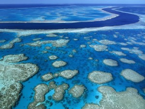 great-barrier-reef