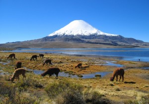 volcanoes-chile