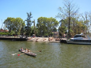 tigre-island